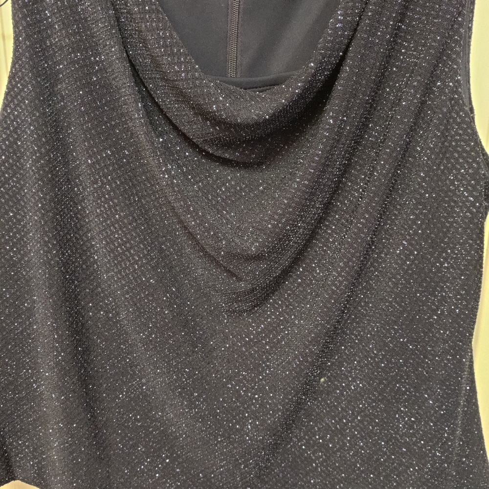 Alex Evenings dress